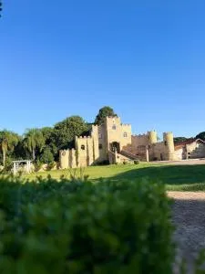 Pousada Castelo Medieval - 卡斯特罗