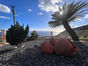 Vila Mendes - Ocean View