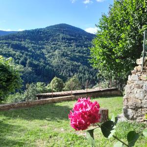 Maisons de vacances Gite MANDRA chez gites QUE CANTA : photos des chambres