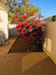 Perfect Stay BNB - Molepolole