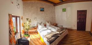 Pensiune turistica Milcov-VLADET