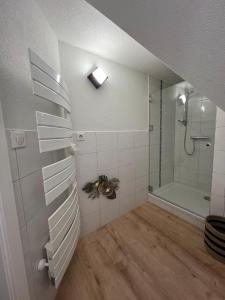 Appartements Appartement Au Sommet du Ruisseau : photos des chambres