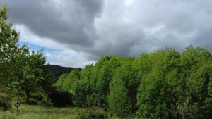 Pure Mountain - Serra da Estrela