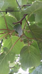 Pure Mountain - Serra da Estrela