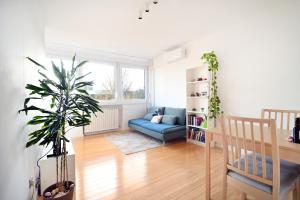 Cozy donkey - sporty lake apartment, flexible check-in, netflix