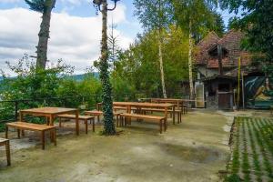 Pensiune turistica Milcov-VLADET