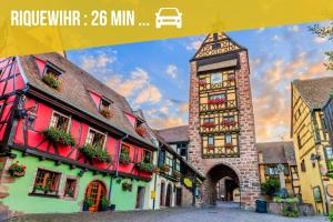 Appartements Le Cocon Alsacien au coeur de Rouffach : Appartement 1 Chambre