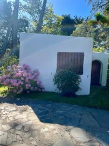 House w garden pool and grill