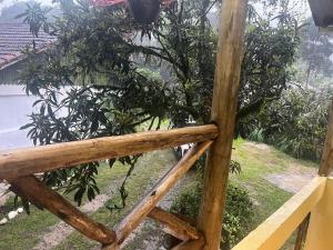 Alvorada de Maringá