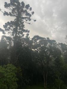 Alvorada de Maringá