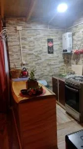 Cabañas coihuin - La Chamiza