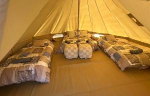 The Stockyard Experience