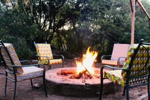 Holistic Hive Retreat House