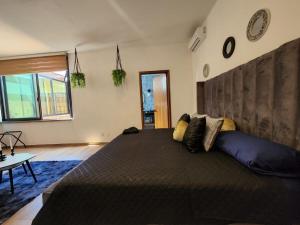 Suite 3 en Tlaquepaque centro