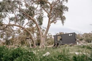 Sandy Hill Forest Tiny Home