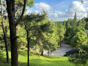 Alpine Crosswinds Standard 1BR Suite