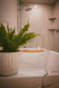 Courtenay Luxe Suite