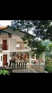 Puerto Galera hilltop Guesthouse -tropic retreat - 波尔多·格尼拉