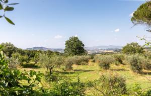 Vacanza Valentia