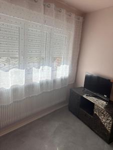 Solesmes splendide appartement