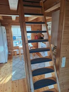 Lepolaavu, Saariselkä