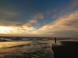 Shoreline Secrets