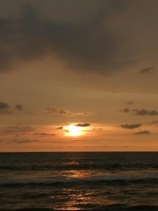 Shoreline Secrets