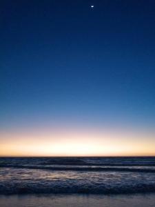 Shoreline Secrets