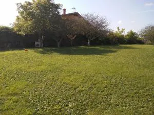 vivienda la palmera - Cortiguera