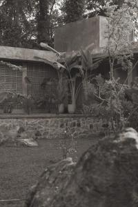 Maro Garden