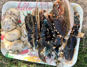 Villas La Villa Ker Mi-mil : photos des chambres