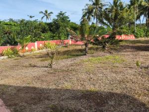 turtles place -Chays Bungalow