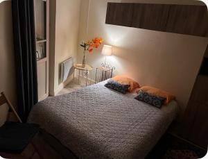 Appartements LE SPLENDID - Hypercentre - Proche Opera & Parcs - Thermes : photos des chambres