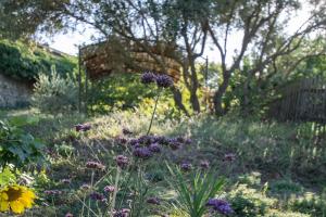 Le Chant des Tongs - La Canopée