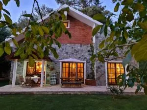 VILLa ENRIETTA - Koilani