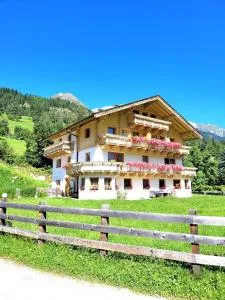 Apartment Santnerhof - Wölzelach