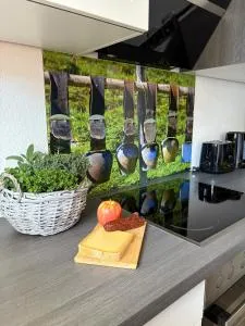 Alm Studio 22 - Thymian - Ferienwohnung in Fischen - 奥夫特尔施旺