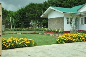 The Olivine Villa