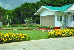 The Olivine Villa