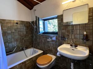 Cozy apartment in the green