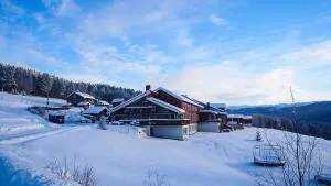 利亚费杰尔酒店 - Sønstebø