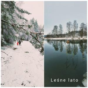 Leśne lato