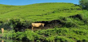 ホテルサンクラウン大阿蘇suncrown温泉は無いけど優雅に過ごせる