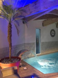 Hotels Hotel Calme Des Pins & Spa : photos des chambres