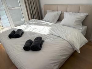 Bayaux centrum Knokke