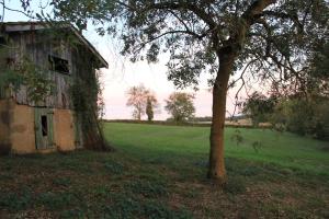 Maisons de vacances maison de campagne avec grand lac et park arbore : photos des chambres