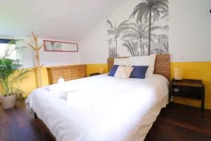 L'Amazone - T2 Cosy et Lumineux - La Force