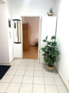 Three Rings Apartments