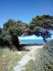 casa per vacanze vicino al mare img24
