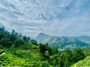 إيلا فلور جاردن ريزورت - Monaragala